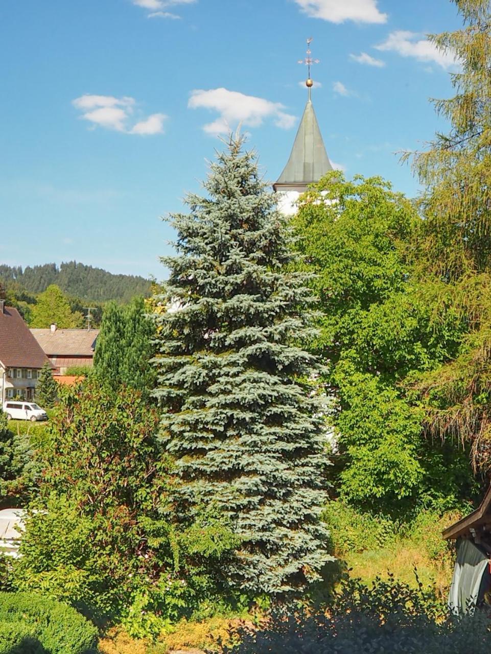 Landgasthof Zum Schwarzen Grat Isny im Allgau Ngoại thất bức ảnh